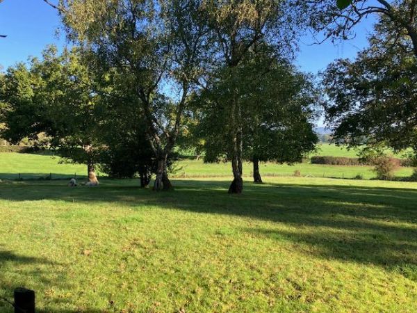 Tandridge view